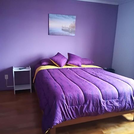 Puq Casa Amigos Punta Arenas Exterior foto